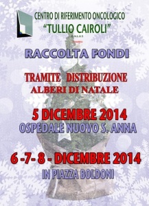 Pinetti di Natale 2014